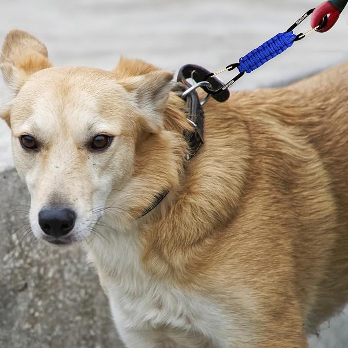 BRAVESHINE Paracord Keychain Carabiner Clip, D Ring Lanyard Hanger Stroller Hook for Water Bottle, Key, Backpacks, Men, Women