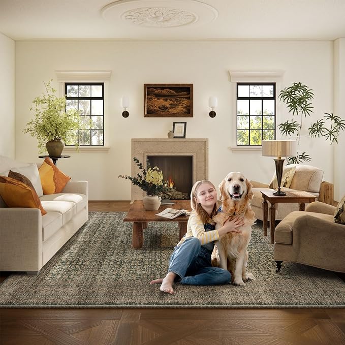 Machine Washable Rugs for Living Room: 5x7 Area Rugs Boho Vintage Rugs Stain Resistant Non Slip Low Pile Soft Lightweight Carpet for Bedroom Kitchen Dining Room Nursery Kids Room Farmhouse