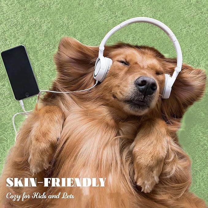 5x8 Area Rug for Living Room: Fluffy Shag Soft Washable Rugs Fuzzy Plush Indoor Carpet for Bedroom Nursery Playroom Dorm Kids Girls Boys Room (Sage Green, 5'x8')