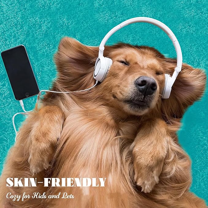 8x10 Area Rug for Living Room: Fluffy Shag Soft Washable Rugs Large Fuzzy Plush Indoor Carpet for Bedroom Nursery Playroom Kids Girls Boys Room (Teal Blue, 8'x10')