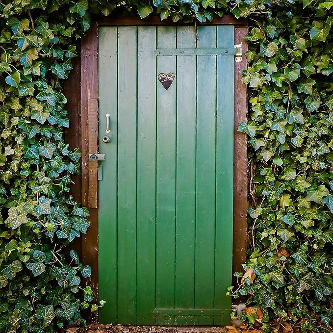 Password Rotary Hasp Locks,Silver 1 Pack Cabinet Locks with Combination,Keyless Security Latch for Sliding Barn Door, Gate, Small Door, Closet, Drawers