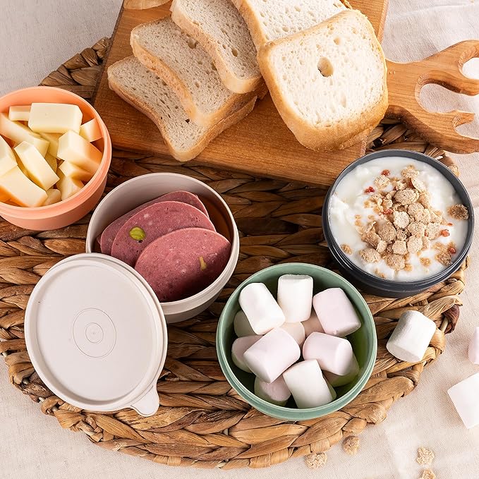 9 oz Small Round Food Storage Containers with Lids Set of 10, Airtight Leakproof Reusable, Plastic To Go Bento Box, Mini Lunch Box, Snack Storage Bowl, for Kitchen, Picnic (10)