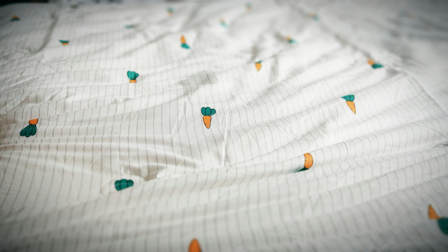 Mattresses Protectors & Encasements