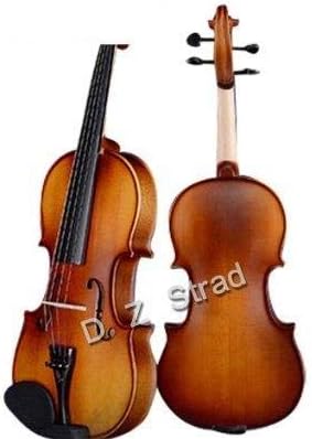 D Z Strad Violin Model 100 with Solid Wood with Case, Bow, and Rosin (1/8 - Size)