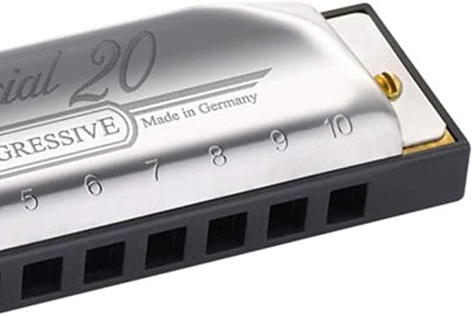 Hohner Special 20 Harmonica - Key of E Flat Bundle with Carrying Case, Pouch, Online Manual, and Austin Bazaar Polishing Cloth