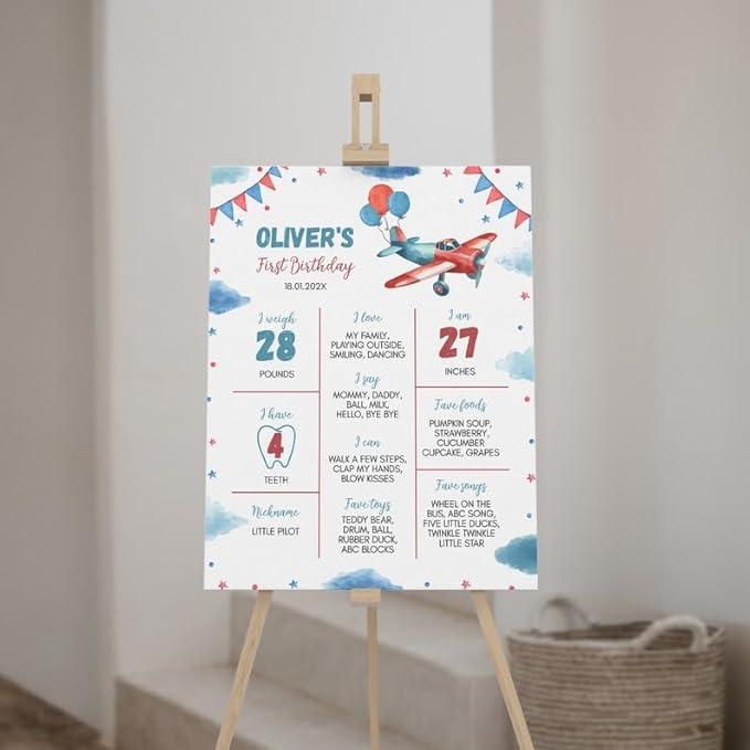 Personalized Airplane Birthday Milestone Poster, Airplane 1St Birthday Milestone Sign, Time Flies Birthday Chalkboard, Design 017