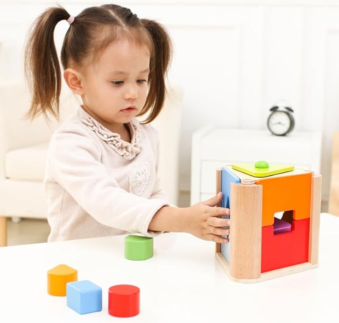 Shape Discovery Plug-in Box | Beech Wooden Shape Sorter Toy with 6 Puzzles | Montessori Learning for Toddlers 18+ Months