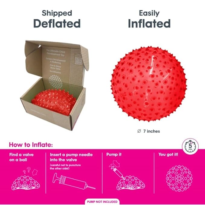 Edushape Original Sensory Ball - 7" Transparent Red Baby Ball for Gross Motor Skills Development (6 Months & Up)