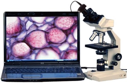 AmScope B100-3M Digital Compound Binocular Microscope, 40X-1000X Magnification, Brightfield, Tungsten Illumination, Abbe Condenser, Plain Stage, Includes 3MP Camera with Reduction Lens and Software