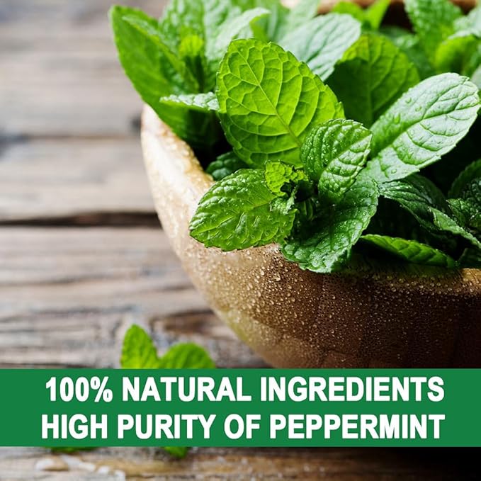 Squirrel Repellent Outdoor, Chipmunk Repellent for Attic/Garden/Bird Feeders/Plants/Cars, Deterrent Squirrels, Keep Chipmunks Away-Pack of 12