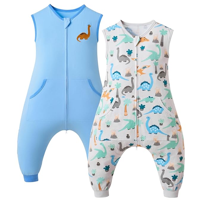 Baby Toddler Sleep Sack with Feet 2.5 TOG Winter, Wearable Blanket with Legs, Toddler Sleeping Sack Long Sleeve (Dinosaur, 2T-3T)