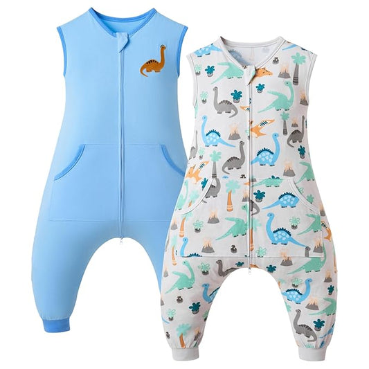 Baby Toddler Sleep Sack with Feet 2.5 TOG Winter, Wearable Blanket with Legs, Toddler Sleeping Sack Long Sleeve (Dinosaur, 12M-2T)