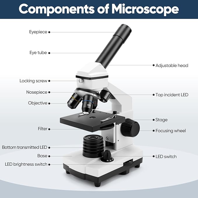 Microscope for Adults Kids, Dcorn 100X-2000X Powerful Biological Microscopes for School, Home, and Lab Use, Includes Microscope Slides Set and Phone Adapter.