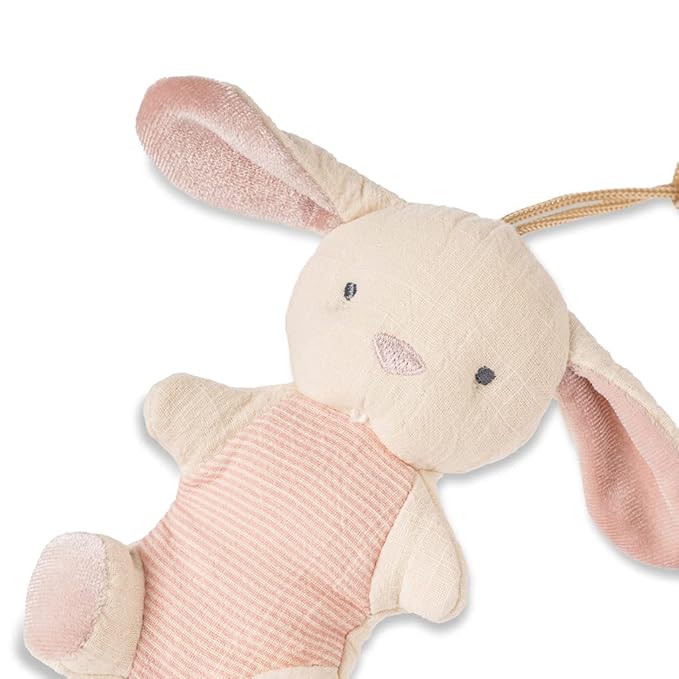 Itzy Ritzy Pacifier & Lovey Set - Natural Rubber Pacifier with Stuffed Animal Lovey - Detachable Plush Bunny Binky Holder & Coordinating Natural Rubber Binky, Ideal for Ages 0-6 Months (Bunny)
