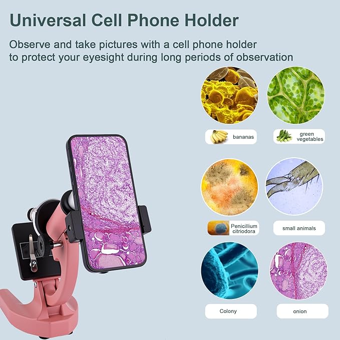 Microscope for Kids 40X-2000X with LED supplemental Light, Slides and specimens, Microscope for Kids 8-12 for School Labs and homeschooling.