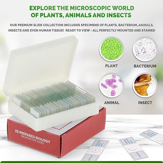 AmScope 25pc Prepared Glass Microscope Slides in Plastic Case with Plant, Fungus, Insect and Mammal Specimens