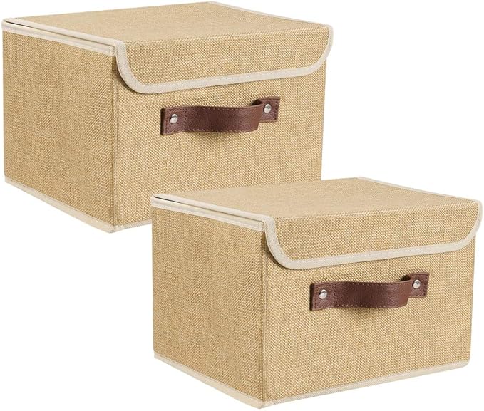 Lucky Monet Storage Bins Boxes with Lids 2 Pack Decorative Storage Boxes Collapsible Fabric Storage Basket Containers Lidded Storage Cube for Organizing Closet Home Office, 15"x 10"x 10" (Khaki)
