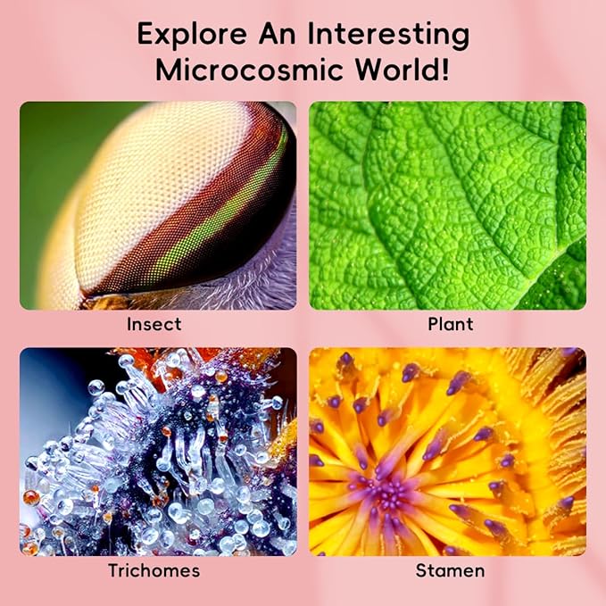 Microscope for Kids, 3'' Digital Handheld Kids Microscope with Adjustable Light, 1000X 1080P Pocket Portable Mini Micro Scope, Stem Toys for Ages 5-7 8-12 Teen Boys and Girls Educational Gifts, White