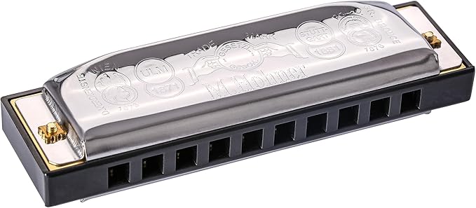 Hohner Special 20 Harmonica - Key of E Flat Bundle with Carrying Case, Pouch, Online Manual, and Austin Bazaar Polishing Cloth