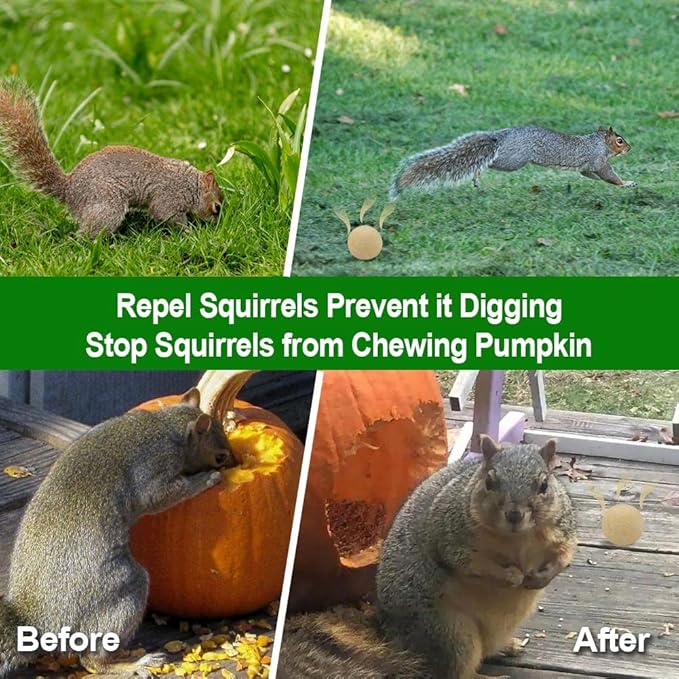 Squirrel Repellent Outdoor, Chipmunk Repellent for Attic/Garden/Bird Feeders/Plants/Cars, Deterrent Squirrels, Keep Chipmunks Away-Pack of 8