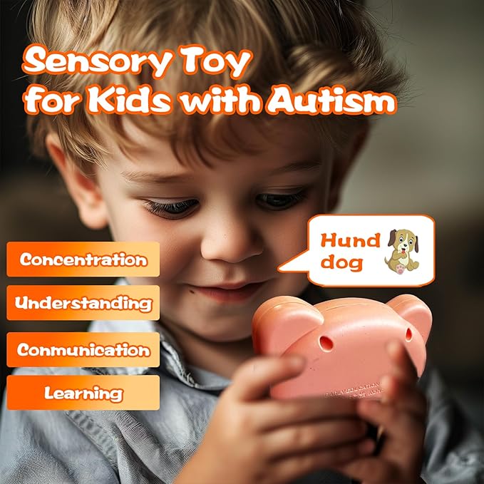 Talking Flash Cards for Kids - German Bilingual English Flashcard for Toddlers 3-12, Test Mode, 510 Sight Words, Audible Pocket Speech, Sensory Toys for Autism, Boys Girls Gifts (German)