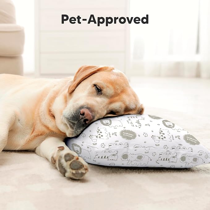 Toddler Pillow with Pillowcase - 10x18 My Little Dreamy Kids Travel Bed Pillows for Sleeping, Organic Cotton Small Pillowcase, Soft & Breathable, Machine Washable, 2-5 Years Old (Jolly Rainbow)