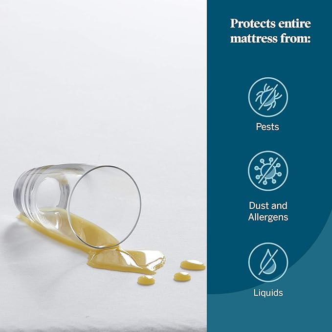 LUCID Premium Rayon from Bamboo Jersey Mattress Protector | California King Size Waterproof Mattress Protector | Ultra Soft, Fitted Sheet Style, White