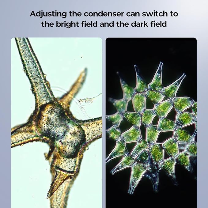 [Darkfield Blood Model] Lab Darkfield & Brightfield Vabiooth Trinocular Compound Microscope 40X-2500X Magnification with 7" Monitor 5MP E-Eyepiece, Adjustable Mechanical Stage, LED Illumination