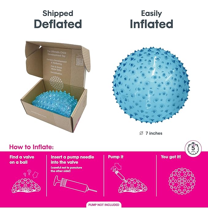 Edushape Sensory Ball for Baby - 7” Transparent Primary Color Baby Ball that Helps Enhance Gross Motor Skills for Kids Aged 6 Months & Up - Pack of 1 Vibrant Colorful and Unique Textured Ball for Baby