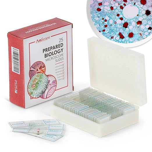 AmScope 25pc Prepared Glass Microscope Slides in Plastic Case with Plant, Fungus, Insect and Mammal Specimens