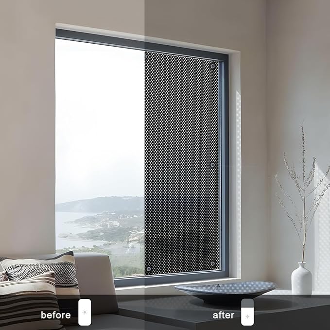 SCHRLING No Drill Cordless Light Filtering Window Shade, Transparent Temporary Shade for Filtering Glare, 39" W x 63" L with Suckers, for Living Room, Bedroom