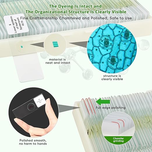 120 Microscope Slides with Specimens,Prepared Microscope Slides for Kids,Glass Slides for Microscope,Prepared Slides for Kids Microscope,Microscope Slide Preparation Kit for Biology Science Classes