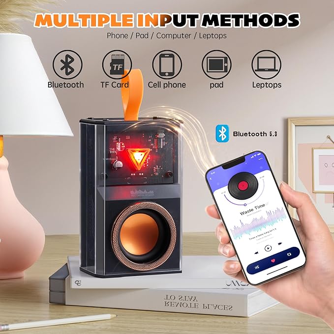 Karaoke Machine for Kids & Adults, Portable Bluetooth Mini Karaoke Speaker with 2 Wireless Microphone and Lights, Birthday Gifts for Girls & Boys, Toys for Girls, Family Home Party (Black)