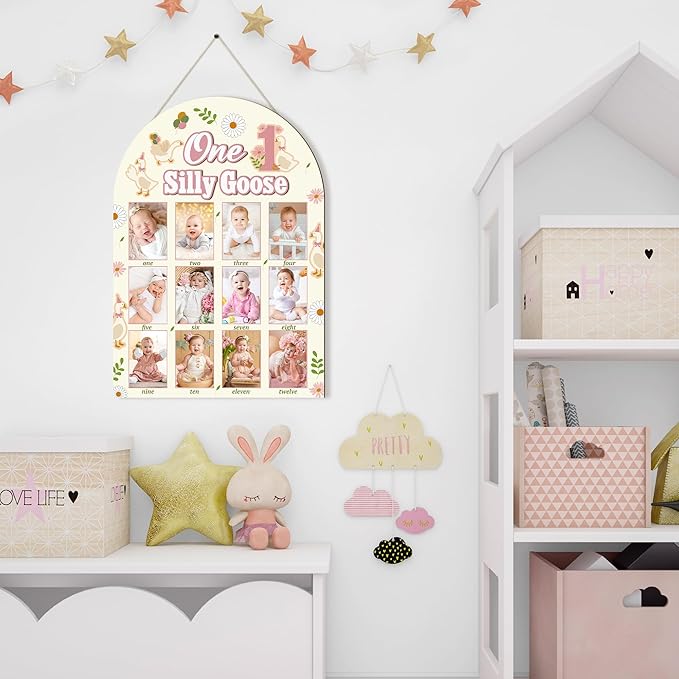 R HORSE My First Year Photo Frame Board, 3D One Silly Goose Birthday Decorations Display Wood Board, Baby First Year Picture Frame 12 Months Milestone 1st Birthday Nursery Decor Gift for Boy Girl