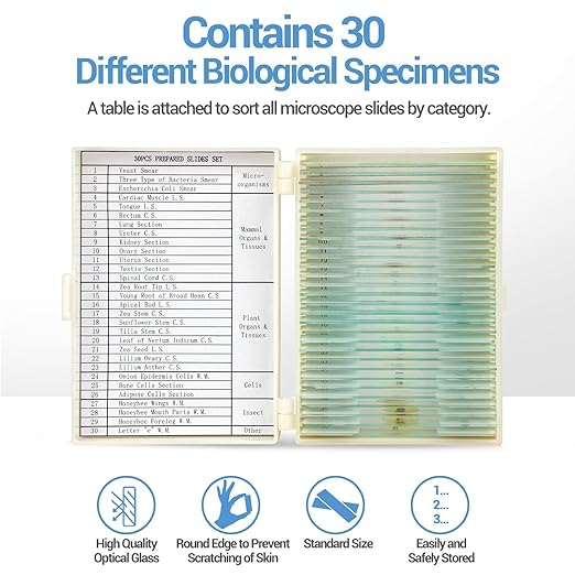 30 Microscope Slides with Specimens for Kids, Prepared Microscope Slides for Kids Microbiology, Glass Slides for Microscope, Biology Gifts for Adults Kids