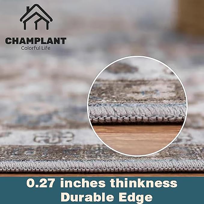 Washable Area Rug 10x14 Boho Chic Medallion Distressed Design Non-Shedding Easy Care Ideal for High Traffic Areas in Living Room Bedroom Office Coffee Table Large Carpet