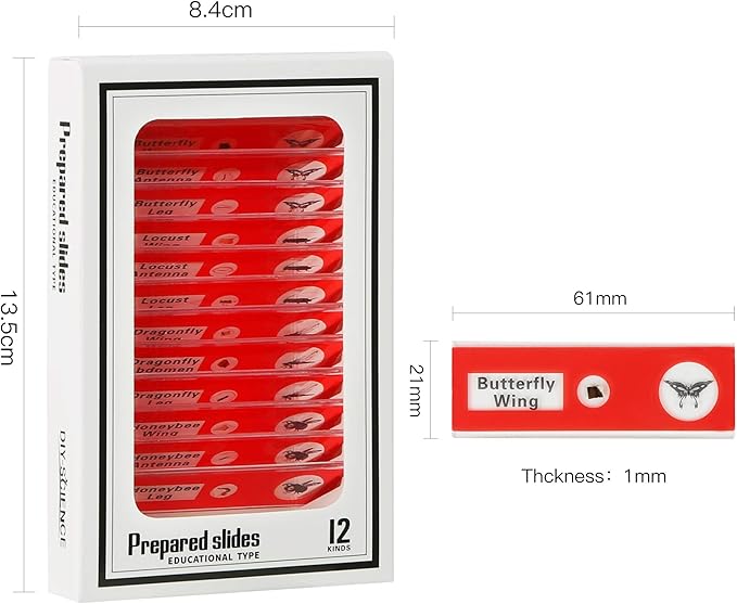 48 Prepared Microscope Slides Set of Animals Insects Plants Flowers, Biological Learning Resource Specimens for Kids Beginner Classroom Basic Science Education