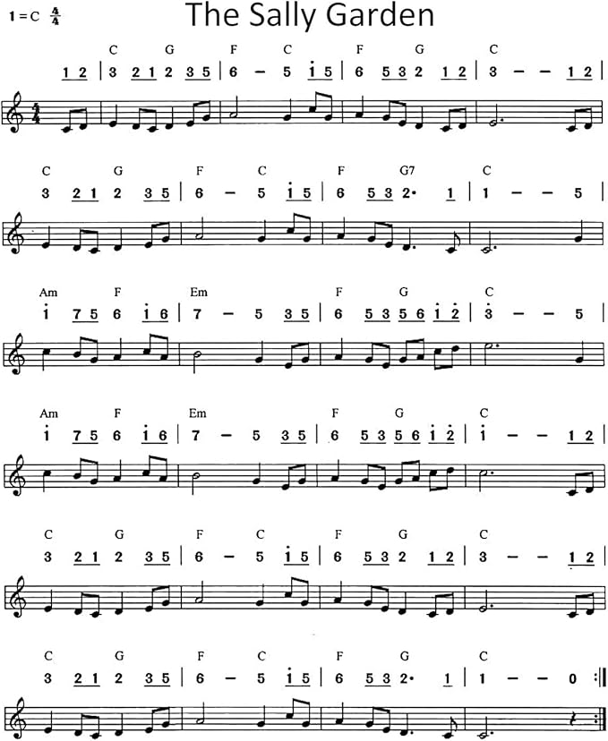 4PCS Key of C 10 Hole 10 Tones Titanium Color Harmonica with Case for Beginner Students Kids（Gold, Purple, Green, Blue）