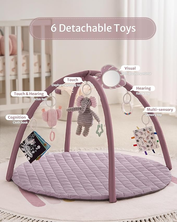 Blissful Diary Baby Play Gym Mat, Tummy Time Activity Mat with 6 Detachable Toys for Stage-Based Sensory & Motor Skill Development, Easy to Install & Clean, Baby Essentials Gift, Lavender Pink