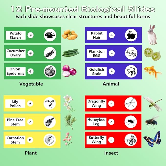 Microscope for Kids with 12 Slides, 100X-1000X 1080P Digital Handheld Kids Microscope, Mini Portable Pocket Miniscope Science Toys Gifts for 3+ 4 5 6 7 8 9 10 11 12 Year Old Boys Girls, White