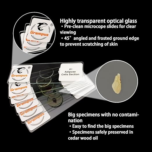 30 Prepared Microscope Slides with Specimens for Kids Students - Animals Plants Insects Microorganism, for Biological Science Lab, Children's Science Education, Homeschool