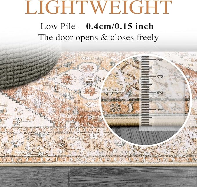 Lahome Boho Area Rug for Living Room - 4x6 Rug Washable Non-Slip Throw Bedroom Rug Lightweight Non-Shedding Large Kitchen Carpet, Oriental Distressed Print Carpet for Office Classroom Dining Room