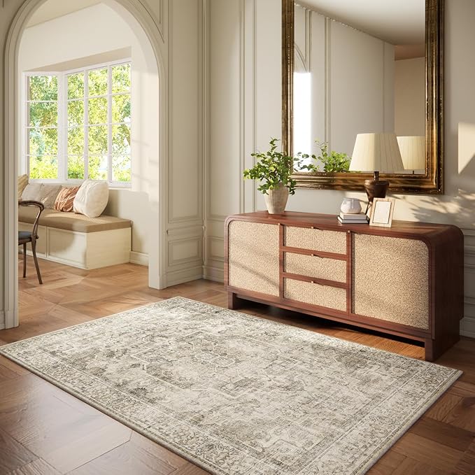 Machine Washable Throw Rugs for Entryway: Door Mat Indoor Entrance 3x5 Small Rug Stain Resistant Non-Slip Low Pile Soft Carpet for Kitchen Front Door Indoor Entry Bathroom Bedroom