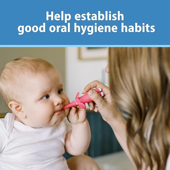 Dr. Brown's Infant-to-Toddler Toothbrush Set, 1.4 Ounce, Pink