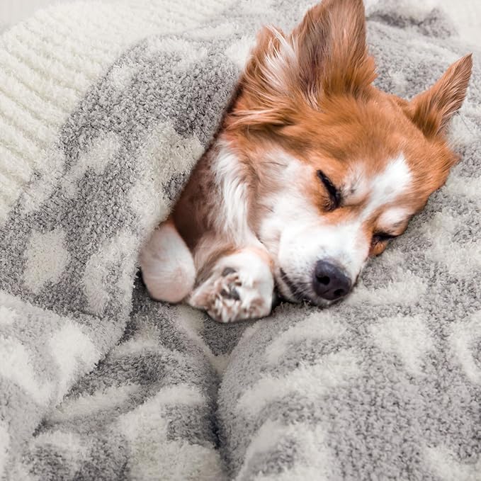 NEXHOME PRO Leopard Soft Blanket Twin Size, Fuzzy Throw Blanket for Couch Bed Sofa Picnic, Knit Blankets for Women Gifts Grey 60 x 80 inches