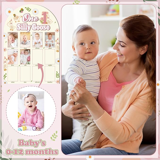 R HORSE My First Year Photo Frame Board, 3D One Silly Goose Birthday Decorations Display Wood Board, Baby First Year Picture Frame 12 Months Milestone 1st Birthday Nursery Decor Gift for Boy Girl
