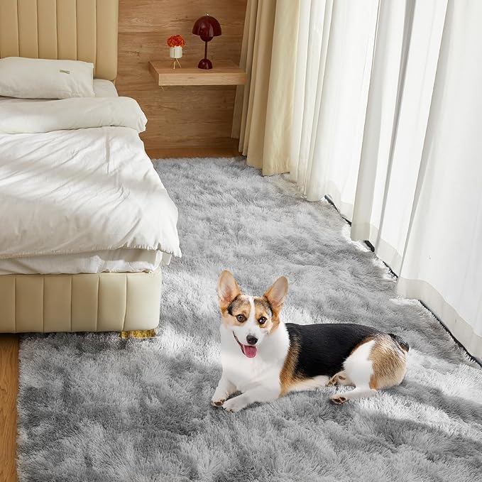Ultra Soft Rug for Living Room, 3X5 Fluffy Shag Area Rug for Bedroom, Modern Shaggy Carpets Fuzzy Rug for Teens Dorm Nursery Home Decor Aesthetic, Upgrade Anti-Skid Durable, Tie-Dyed Light Grey