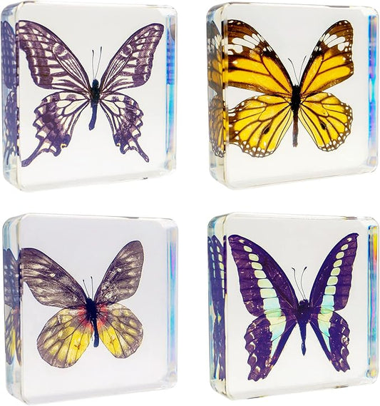 4 PCS Butterfly Specimen Set, Danaus Genutia, Graphium Sarpedon, Asian Swallowtail, Delias Pasithoe Butterfly Resin Collection Science Toys