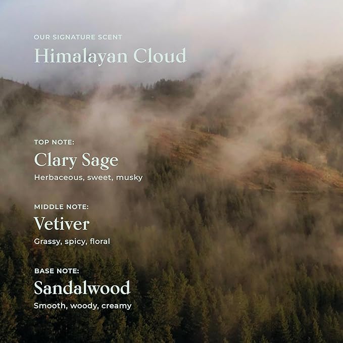 SHAZ & KIKS Ultra Hydrating Turmeric Shampoo | Sulfate-Free Shampoo for Dry, Itchy, Flaky Scalp | Deliver Deep Hydration with Turmeric & Kokum Butter, Travel Size