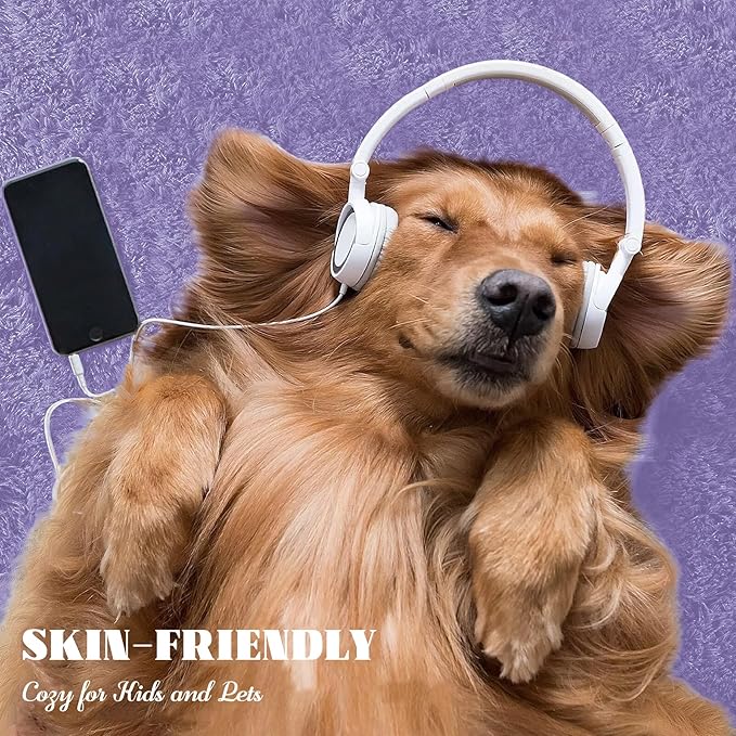 4x6 Area Rug for Living Room: Fluffy Shag Soft Washable Rugs Fuzzy Plush Indoor Carpet for Bedroom Nursery Playroom Dorm Kids Girls Boys Room (Purple, 4'x6')